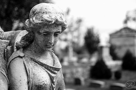 Don't Blink