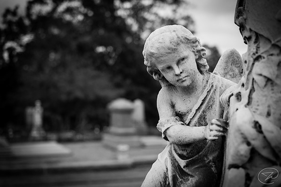 Don't Blink