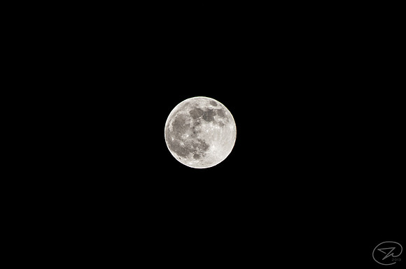 Pareidolia: The Moon Rabbit